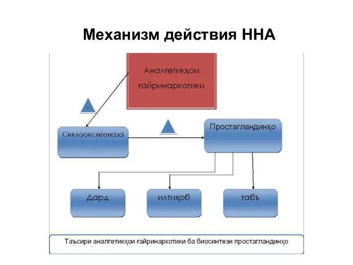 Механизм действия ННА