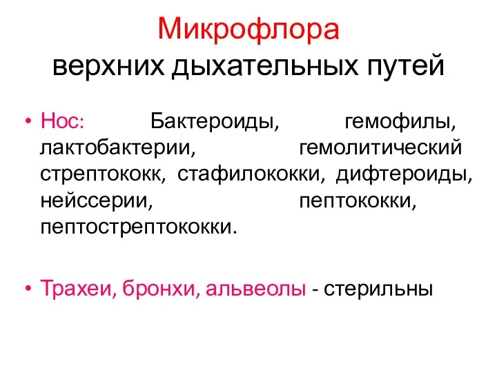 Микрофлора верхних дыхательных путей Нос: Бактероиды, гемофилы, лактобактерии, гемолитический стрептококк, стафилококки,