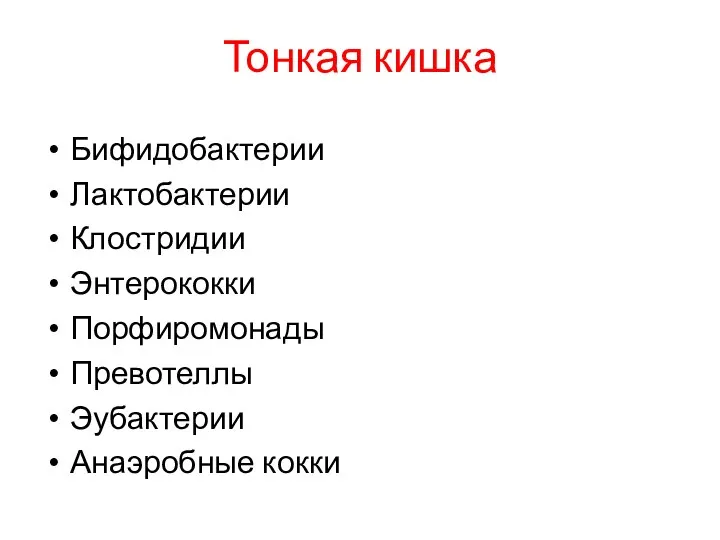 Тонкая кишка Бифидобактерии Лактобактерии Клостридии Энтерококки Порфиромонады Превотеллы Эубактерии Анаэробные кокки