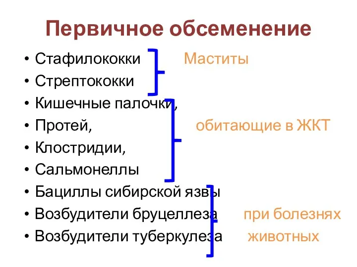 Первичное обсеменение Стафилококки Маститы Стрептококки Кишечные палочки, Протей, обитающие в ЖКТ