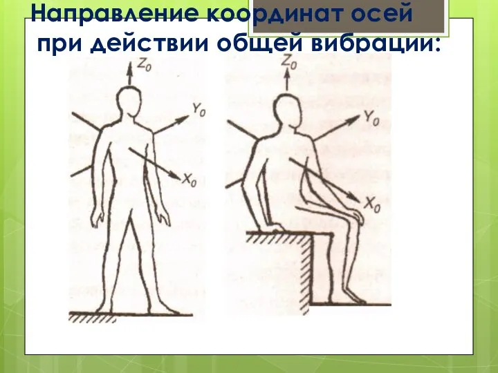 Направление координат осей при действии общей вибрации: