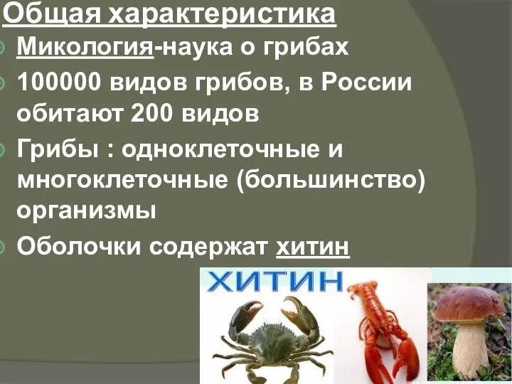 Общая характеристика Микология-наука о грибах 100000 видов грибов, в России обитают