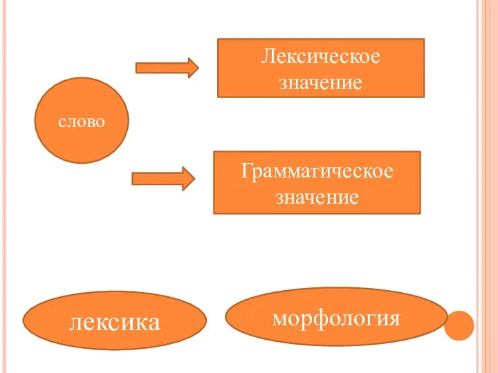 слово Лексическое значение Грамматическое значение лексика морфология