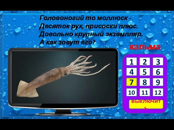 кальмар Головоногий то моллюск - Десяток рук, присоски плюс. Довольно крупный экземпляр. А как зовут его?