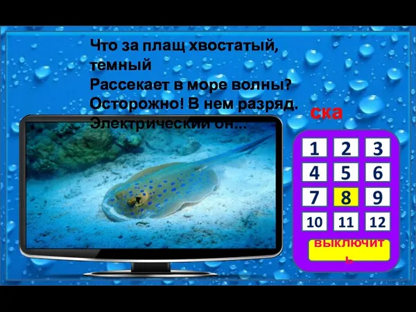 скат Что за плащ хвостатый, темный Рассекает в море волны? Осторожно! В нем разряд. Электрический он...