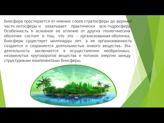 Биосфера простирается от нижних слоев стратосферы до верхней части литосферы и