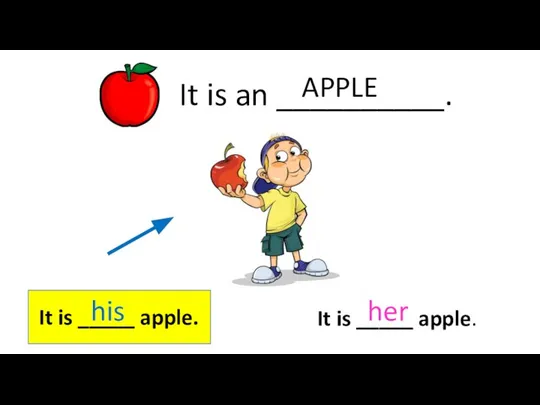 It is an __________. APPLE It is _____ apple. It is _____ apple. his her