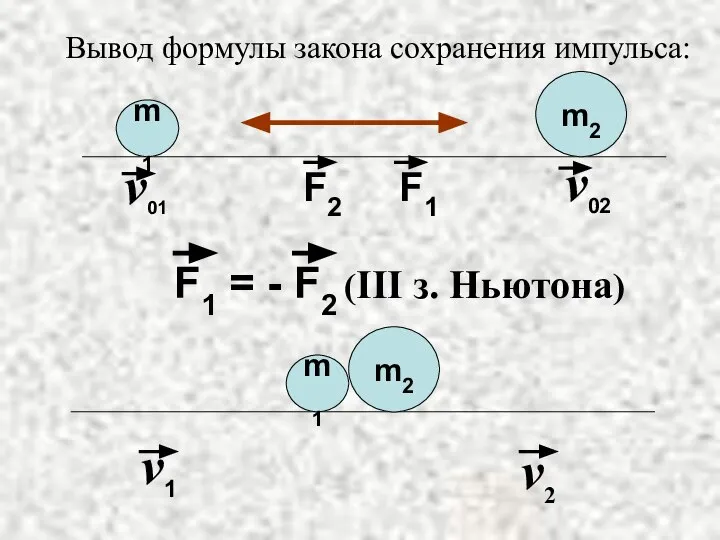 Вывод формулы закона сохранения импульса: m1 m2 v01 v02 F2 F1