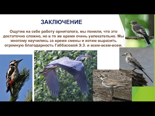 ЗАКЛЮЧЕНИЕ Ощутив на себе работу орнитолога, мы поняли, что это достаточно