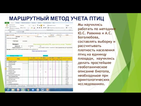 МАРШРУТНЫЙ МЕТОД УЧЕТА ПТИЦ Мы научились работать по методике Ю.С. Равкина