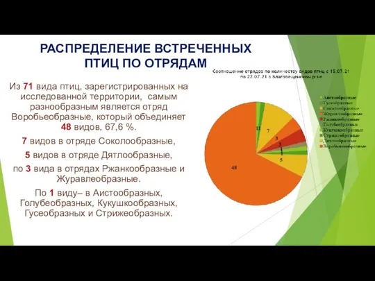 РАСПРЕДЕЛЕНИЕ ВСТРЕЧЕННЫХ ПТИЦ ПО ОТРЯДАМ Из 71 вида птиц, зарегистрированных на