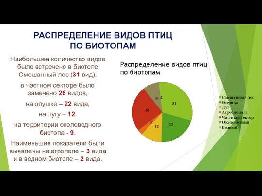 РАСПРЕДЕЛЕНИЕ ВИДОВ ПТИЦ ПО БИОТОПАМ Наибольшее количество видов было встречено в