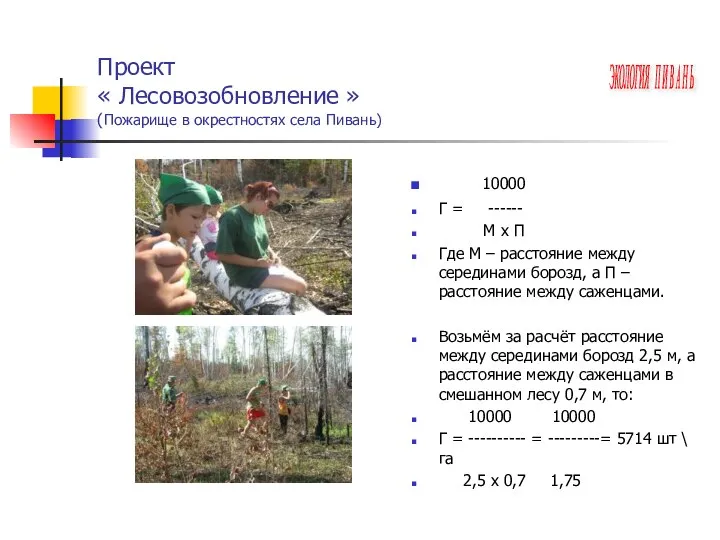 Проект « Лесовозобновление » (Пожарище в окрестностях села Пивань) 10000 Г