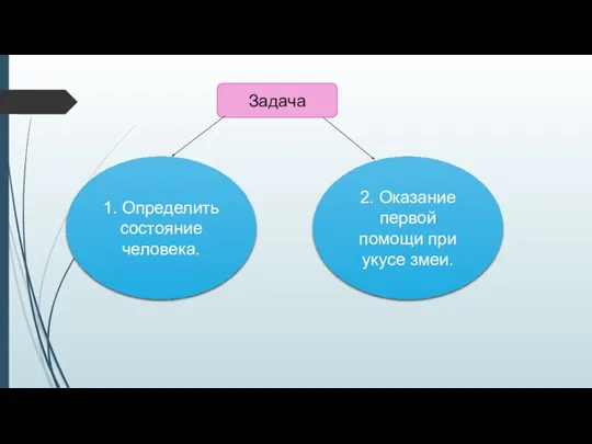 1. Определить состояние человека. 2. Оказание первой помощи при укусе змеи. Задача