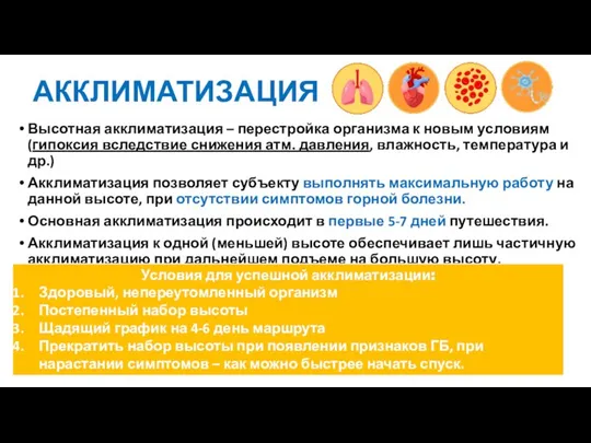 АККЛИМАТИЗАЦИЯ Высотная акклиматизация – перестройка организма к новым условиям (гипоксия вследствие