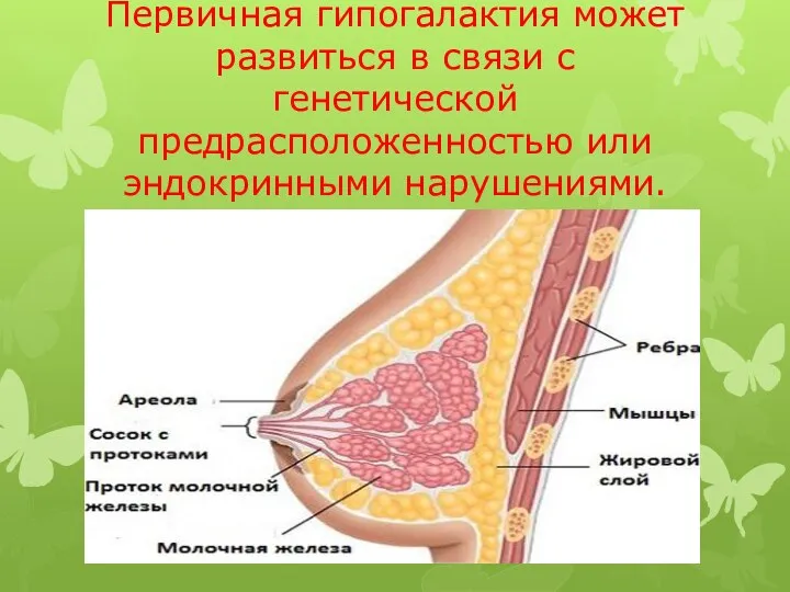 Первичная гипогалактия может развиться в связи с генетической предрасположенностью или эндокринными нарушениями.