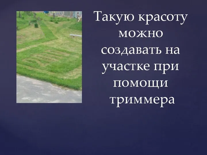 Такую красоту можно создавать на участке при помощи триммера