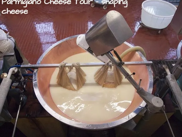 Parmigiano Cheese Tour - shaping cheese