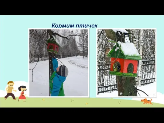 Кормим птичек