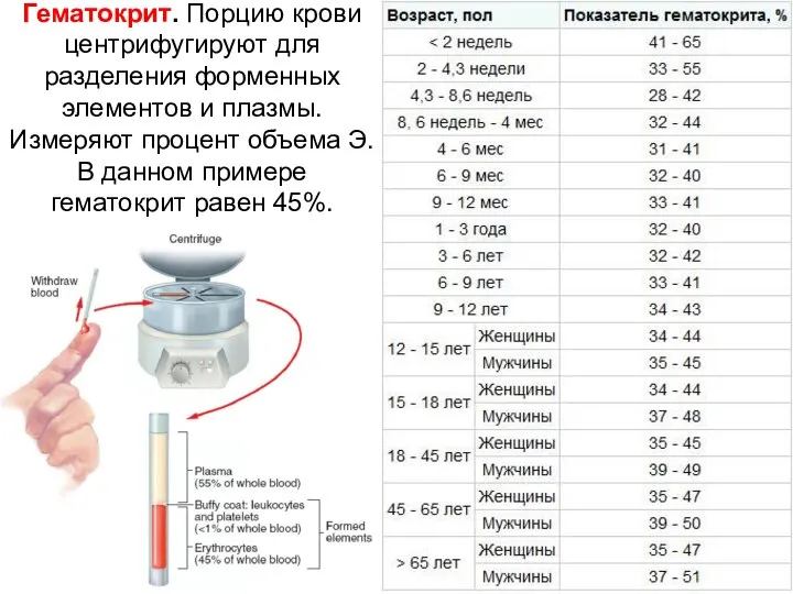 Гематокрит. Порцию крови центрифугируют для разделения форменных элементов и плазмы. Измеряют