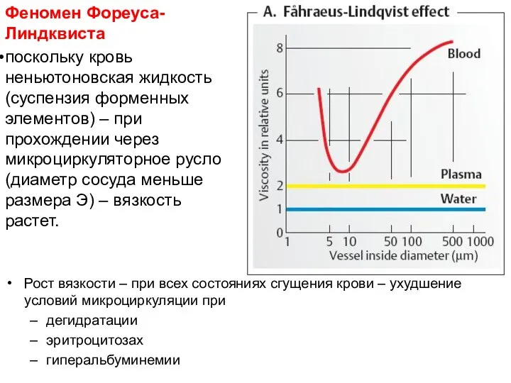 Феномен Фореуса-Линдквиста поскольку кровь неньютоновская жидкость (суспензия форменных элементов) – при