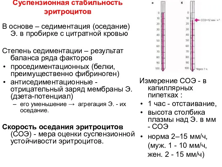 Суспензионная стабильность эритроцитов В основе – седиментация (оседание) Э. в пробирке