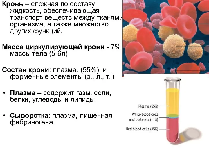 Кровь – сложная по составу жидкость, обеспечивающая транспорт веществ между тканями