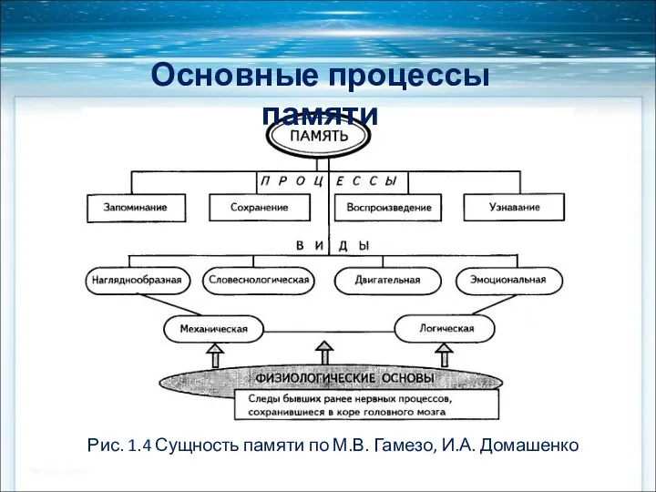 Рис. 1.4 Сущность памяти по М.В. Гамезо, И.А. Домашенко Основные процессы памяти