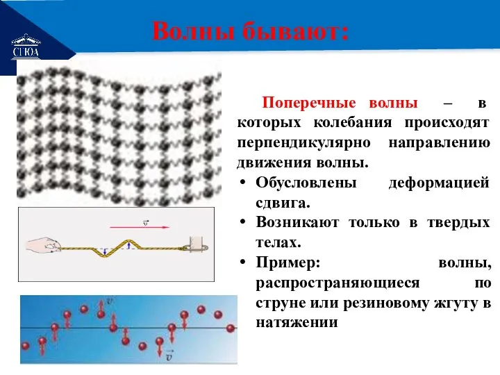 РЕМОНТ Волны бывают: Поперечные волны – в которых колебания происходят перпендикулярно