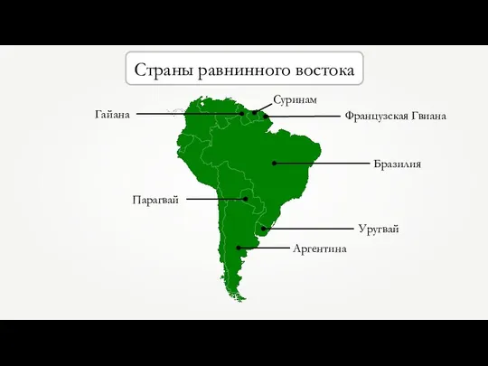 Страны равнинного востока Бразилия Аргентина Суринам Гайана Французская Гвиана Парагвай Уругвай