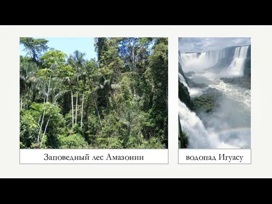 Заповедный лес Амазонии Reinhard Jahn водопад Игуасу Shao