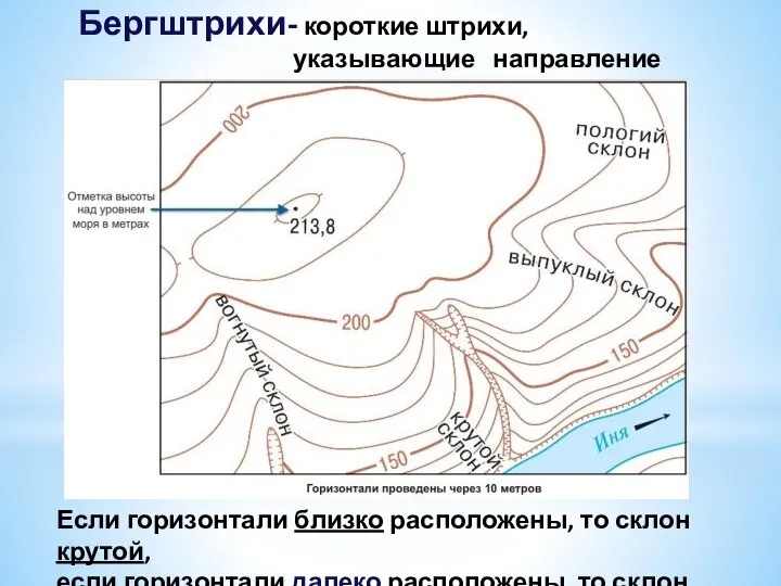 Бергштрихи- короткие штрихи, указывающие направление понижения склона Если горизонтали близко расположены,