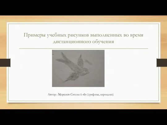 Примеры учебных рисунков выполненных во время дистанционного обучения Автор : Морозов Степан 6 «б» (графика, карандаш)