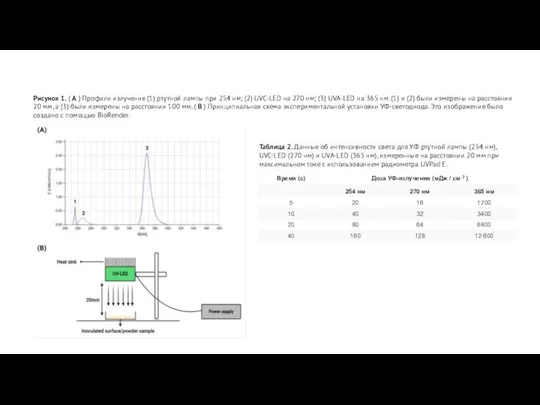 Рисунок 1. ( A ) Профили излучения (1) ртутной лампы при