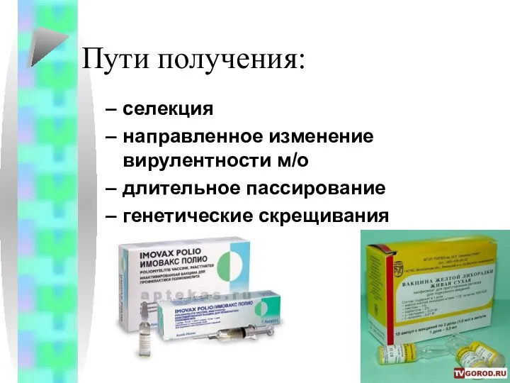 Пути получения: селекция направленное изменение вирулентности м/о длительное пассирование генетические скрещивания