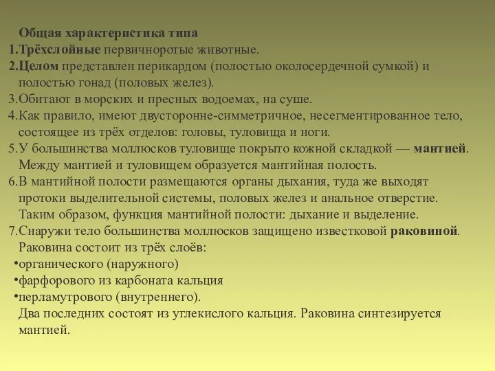 Общая характеристика типа Трёхслойные первичноротые животные. Целом представлен перикардом (полостью околосердечной