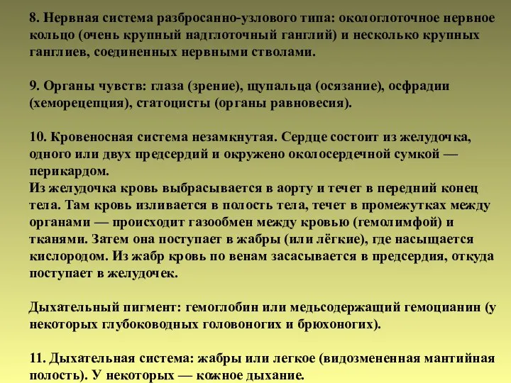 8. Нервная система разбросанно-узлового типа: окологлоточное нервное кольцо (очень крупный надглоточный