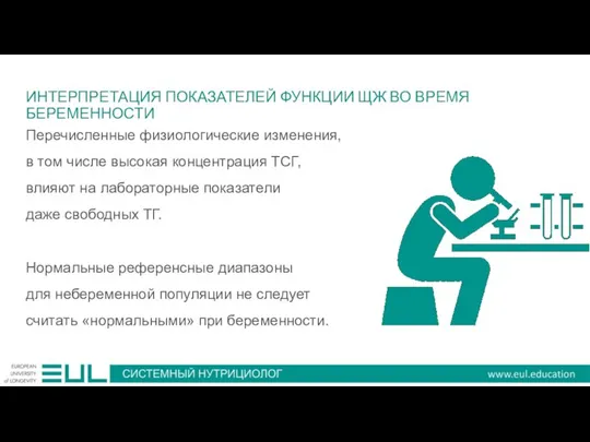 ИНТЕРПРЕТАЦИЯ ПОКАЗАТЕЛЕЙ ФУНКЦИИ ЩЖ ВО ВРЕМЯ БЕРЕМЕННОСТИ Перечисленные физиологические изменения, в