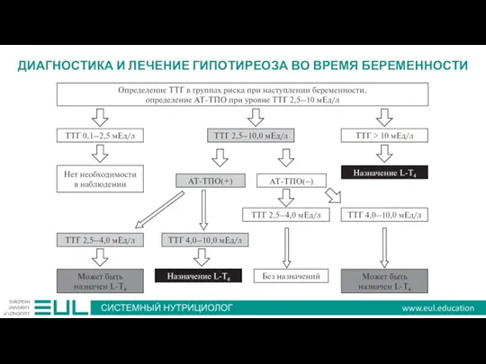 ДИАГНОСТИКА И ЛЕЧЕНИЕ ГИПОТИРЕОЗА ВО ВРЕМЯ БЕРЕМЕННОСТИ