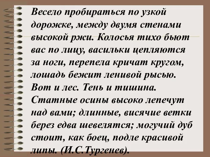 Весело пробираться по узкой дорожке, между двумя стенами высокой ржи. Колосья