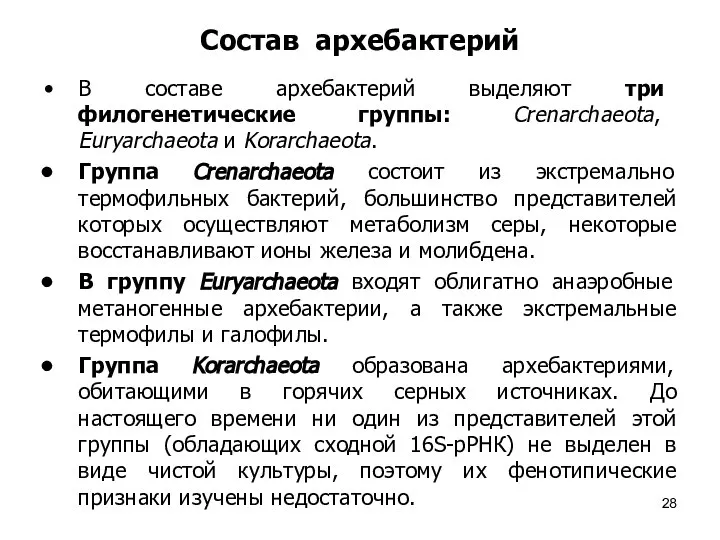 Состав архебактерий В составе архебактерий выделяют три филогенетические группы: Crenarchaeota, Euryarchaeota