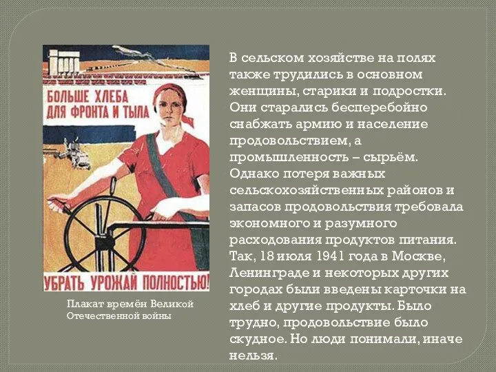 В сельском хозяйстве на полях также трудились в основном женщины, старики