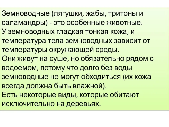 Земноводные (лягушки, жабы, тритоны и саламандры) - это особенные животные. У