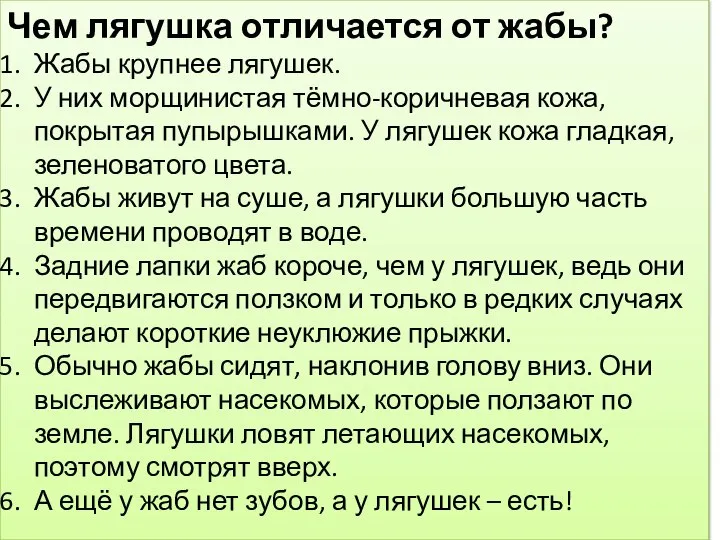 Чем лягушка отличается от жабы? Жабы крупнее лягушек. У них морщинистая