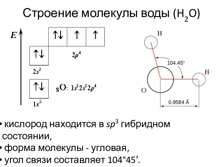 Строение молекулы воды (H2O) кислород находится в sp3 гибридном состоянии, форма