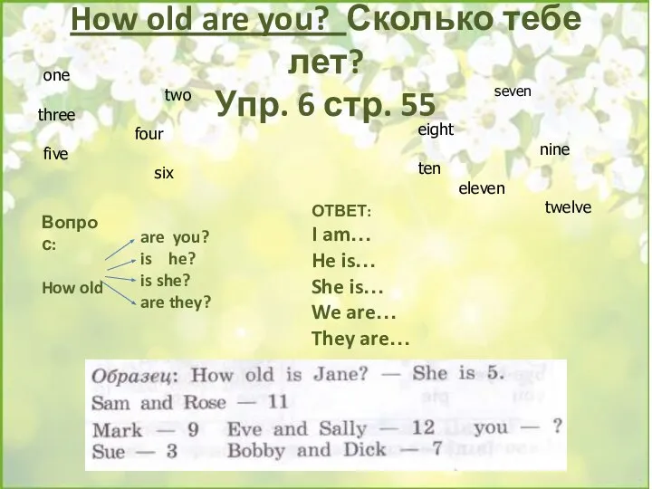 How old are you? Сколько тебе лет? Упр. 6 стр. 55