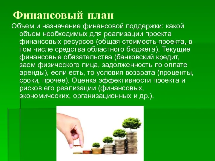 Финансовый план Объем и назначение финансовой поддержки: какой объем необходимых для