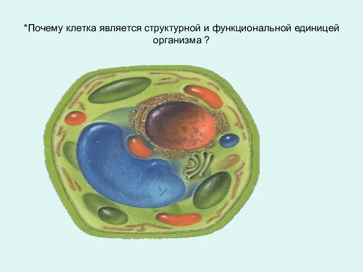 *Почему клетка является структурной и функциональной единицей организма ?