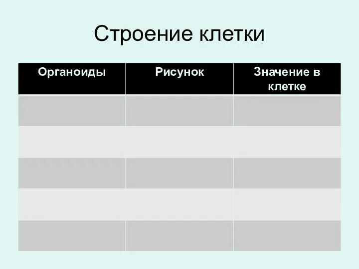 Строение клетки