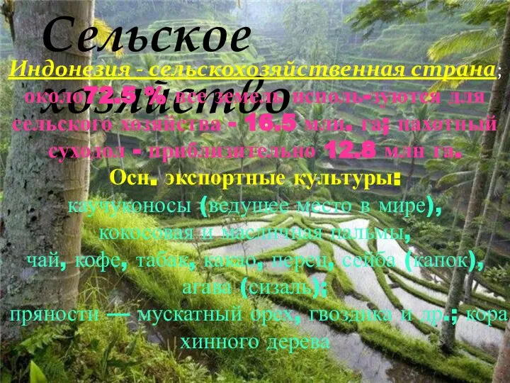 Сельское хозяйство Индонезия - сельскохозяйственная страна; около72.5 % все земель исполь-зуются